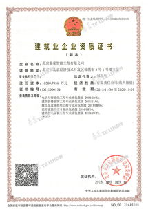 泰豪信息系统集成服务 构建智能化未来的核心动力